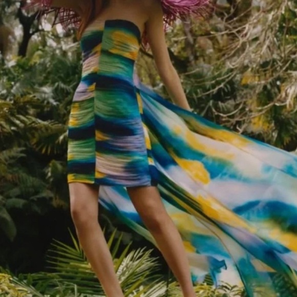 NWT Vineet Bahl Blurred Sheer Mini Dress with Train, sz L - Picture 4 of 17